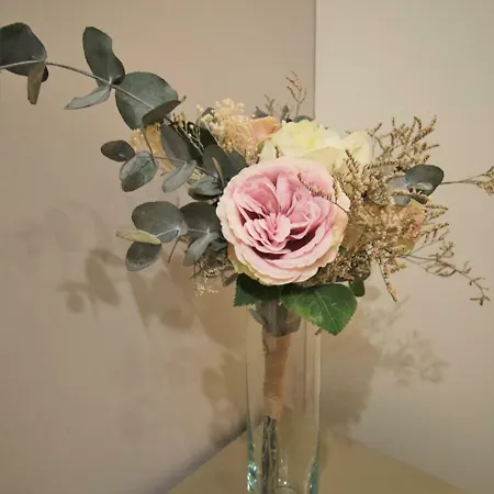 Aliados By Yoursporto